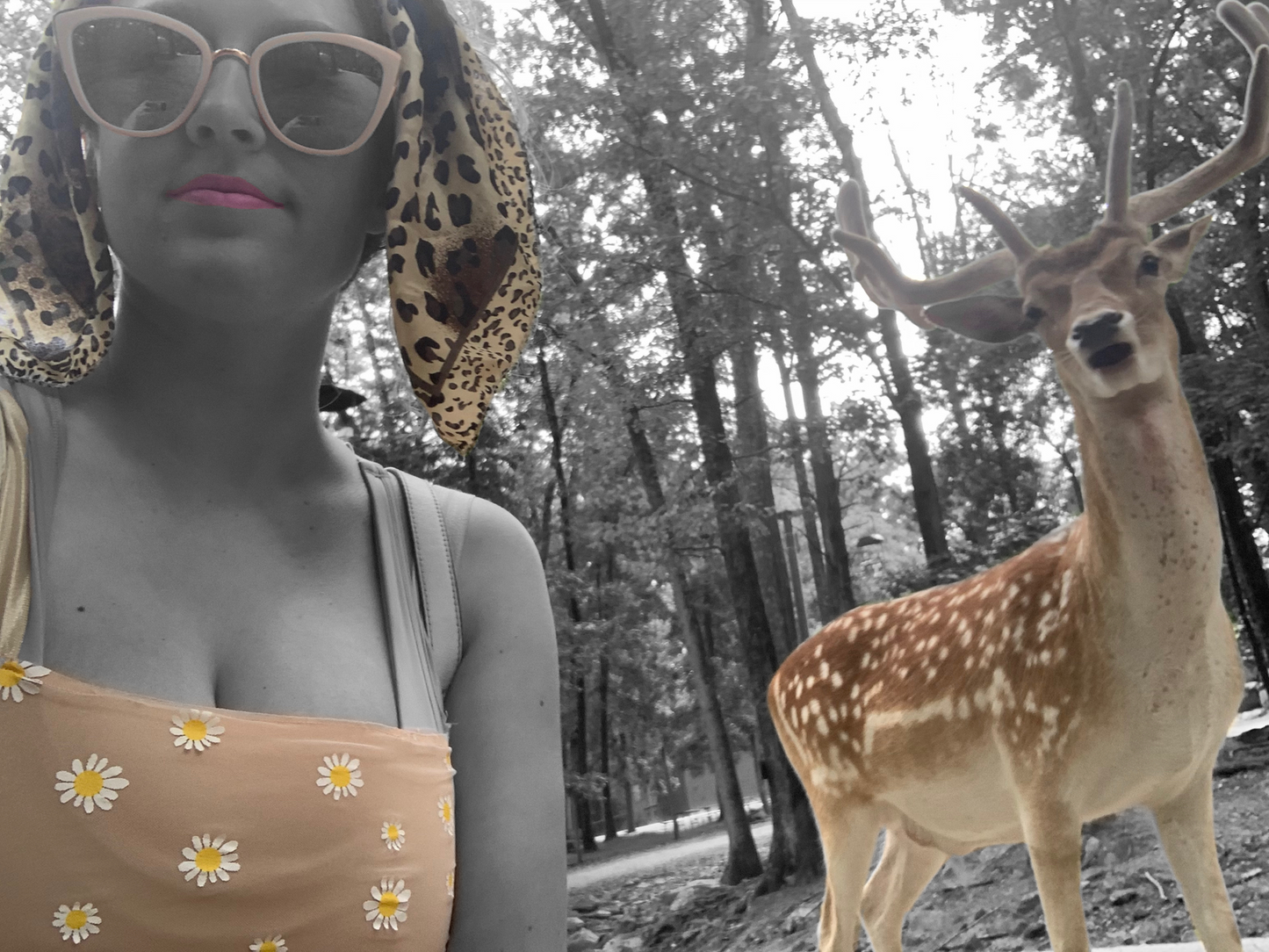 Daisy duke top