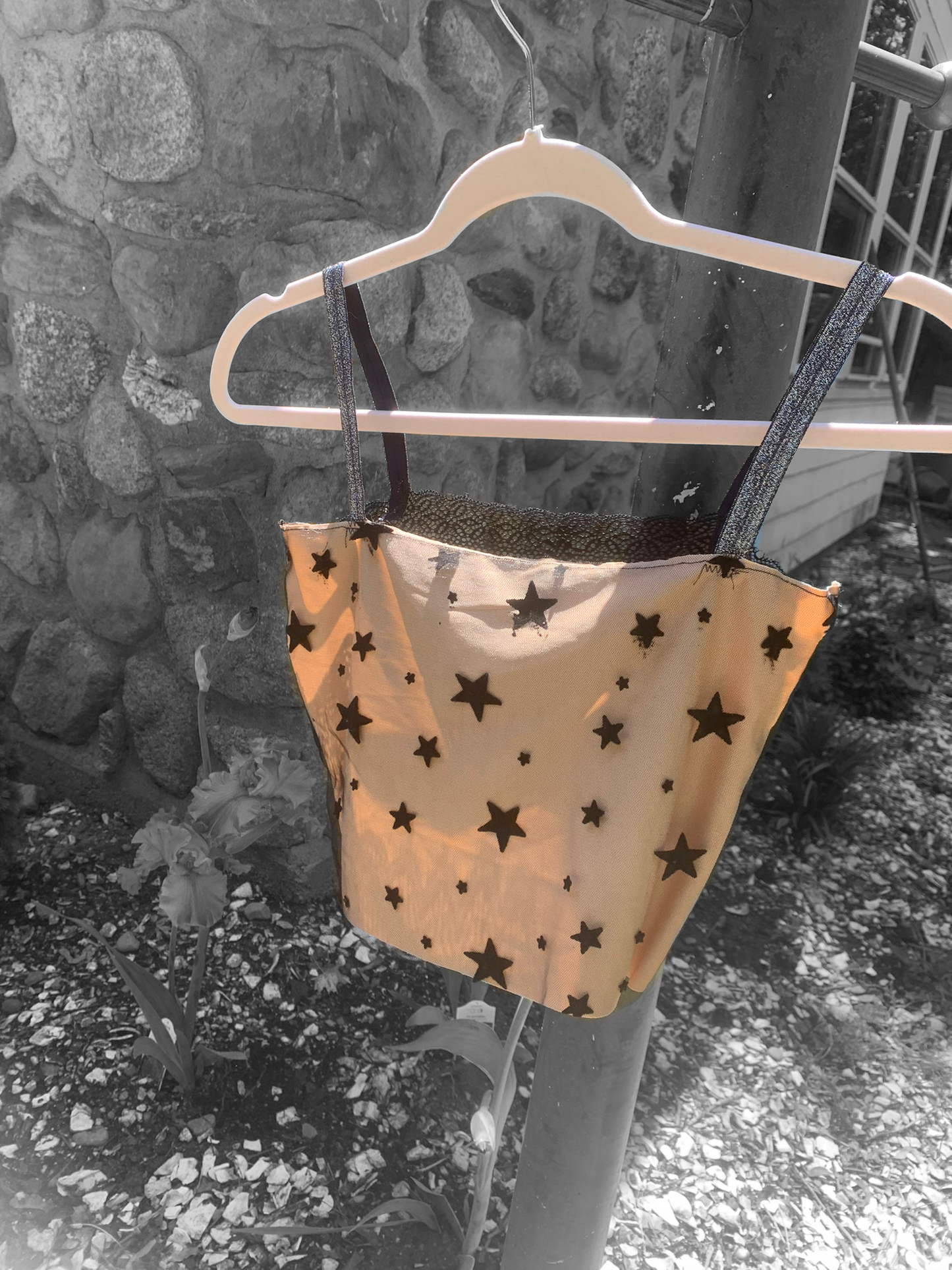 Black Velvet Star crop top